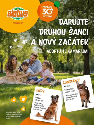 Globus leták - Adoptujte kamaráda!