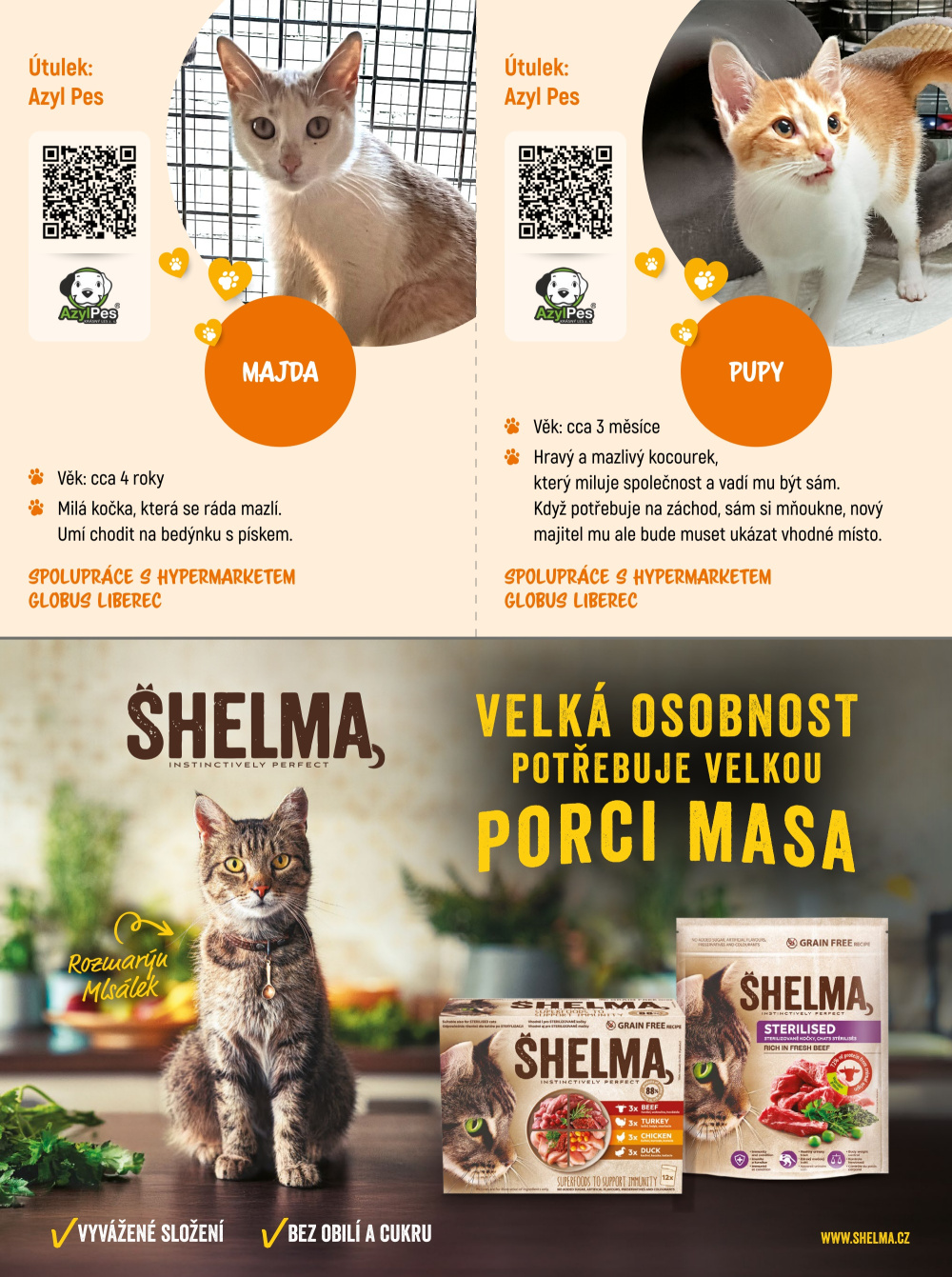 Leták Globus leták - Adoptujte kamaráda! - strana 8