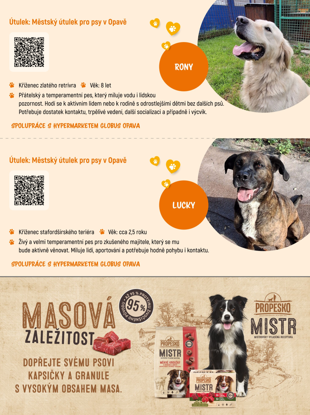 Leták Globus leták - Adoptujte kamaráda! - strana 9