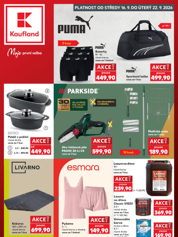 Kaufland leták - Spotřební zboží