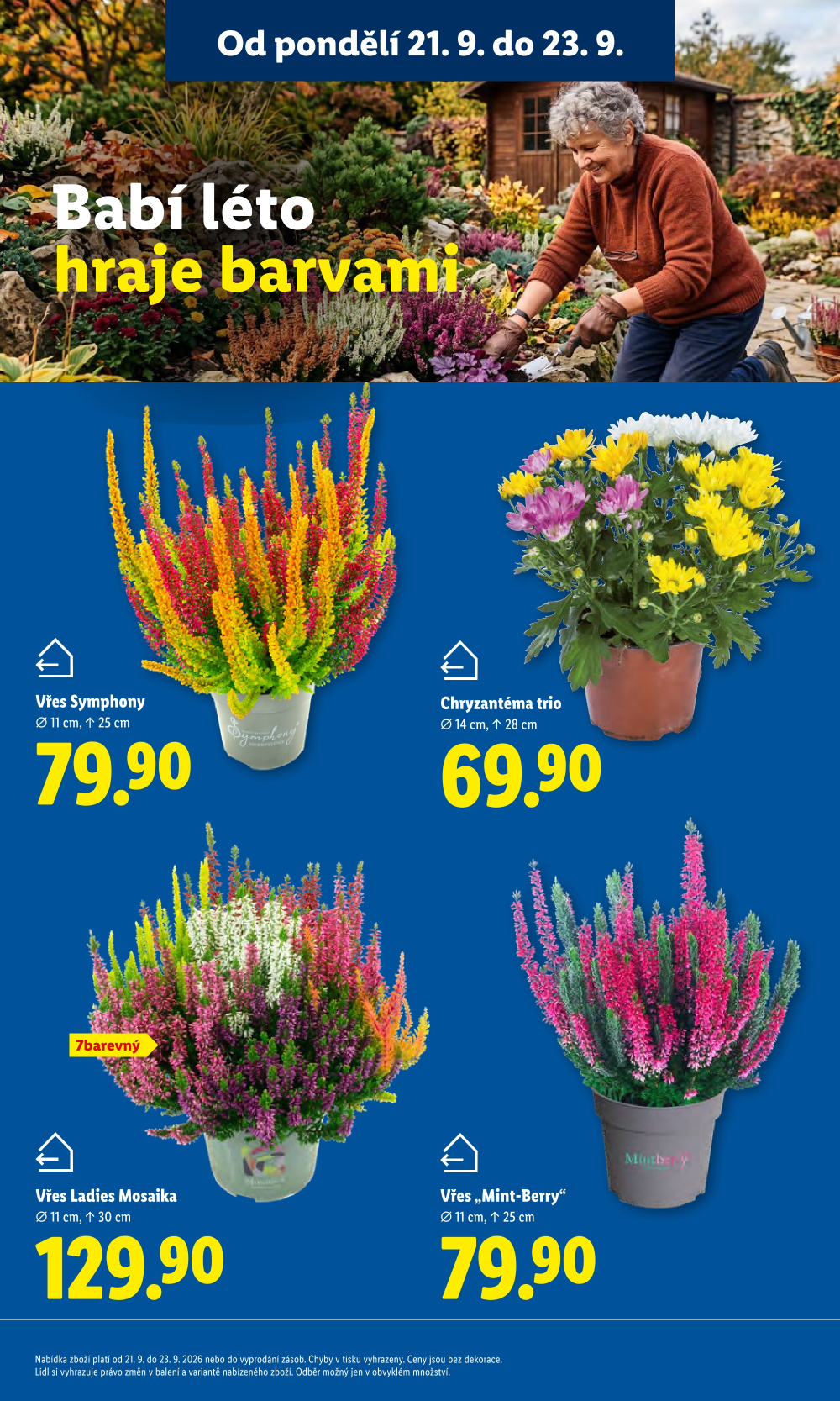 Leták Lidl leták od pondělí - strana 13