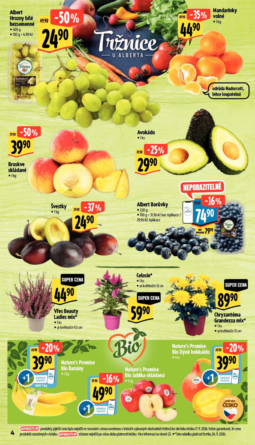 Leták Albert Supermarket leták - strana 10