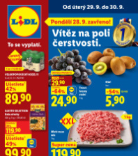 Akční leták Lidl  od úterý