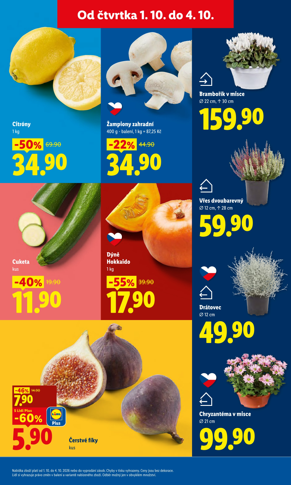 Leták Lidl leták od čtvrtka - strana 13