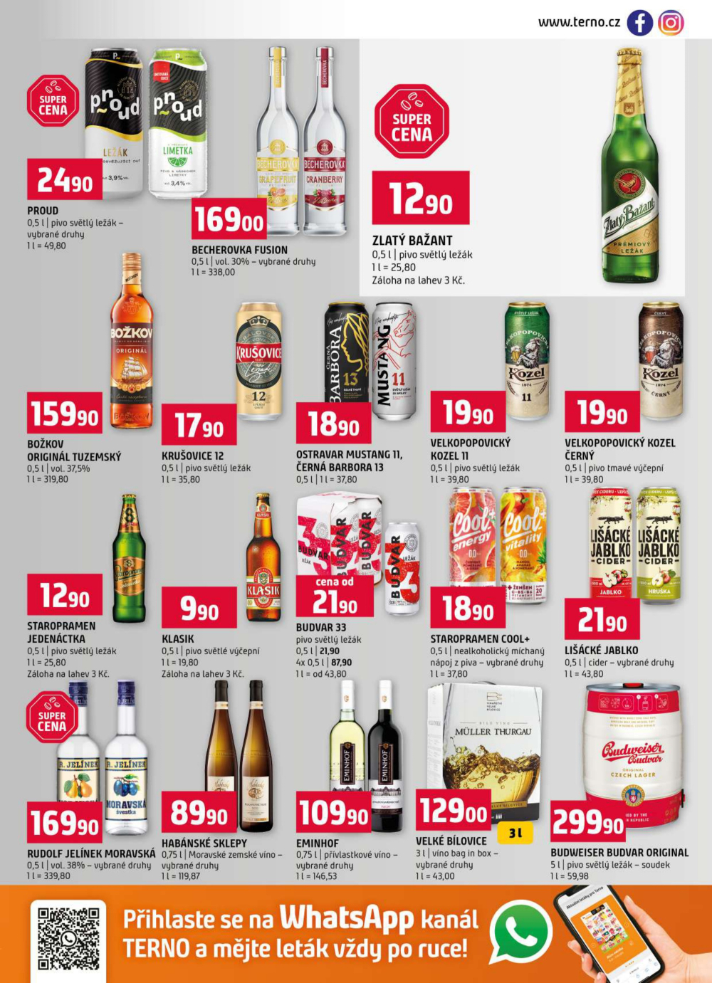 Leták Terno leták - Hradec Králové - strana 13