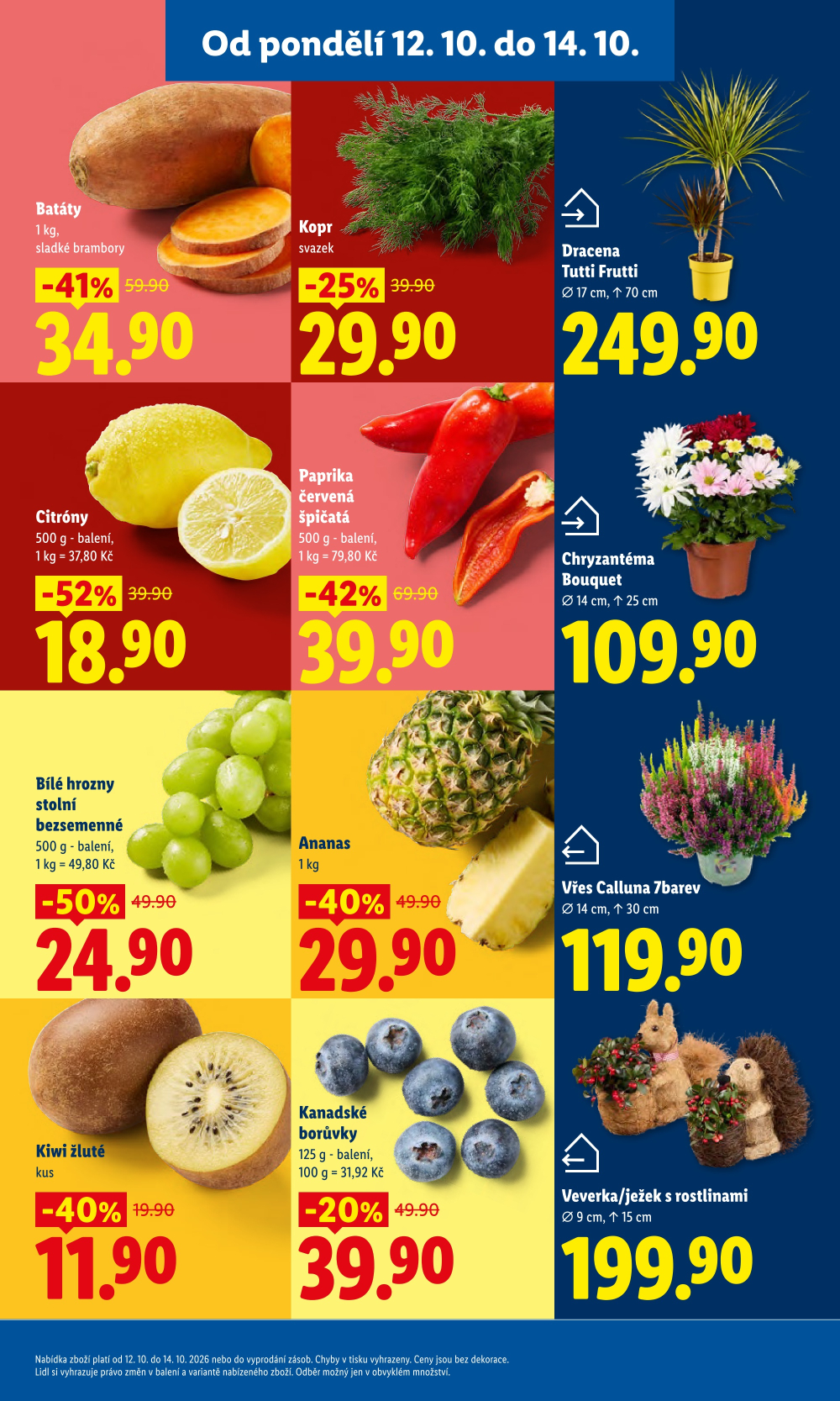 Leták Lidl leták od pondělí - strana 13