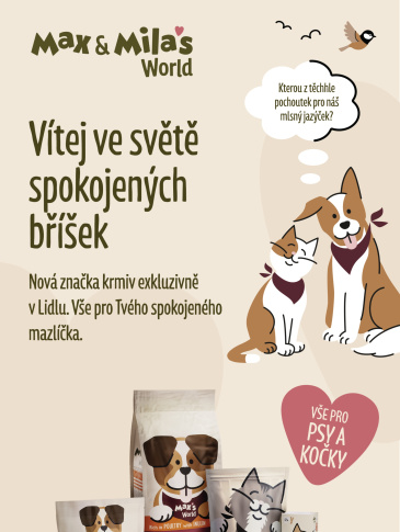 Lidl leták - Max & Mila's World